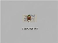 藏品(金龜138a)的圖片